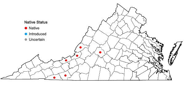 Locations ofGlyceria laxa (Scribn.) Scribn. in Virginia