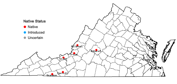 Locations ofGlyceria laxa (Scribn.) Scribn. in Virginia