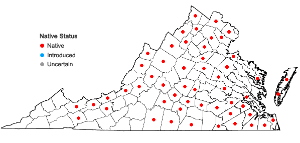 Locations ofGlyceria septentrionalis A.S. Hitchc. in Virginia