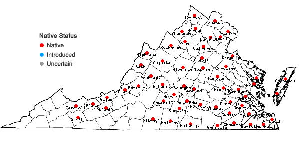 Locations ofGlyceria septentrionalis A.S. Hitchc. in Virginia