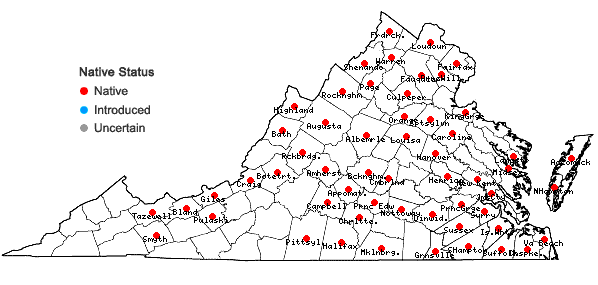 Locations ofGlyceria septentrionalis A.S. Hitchc. in Virginia