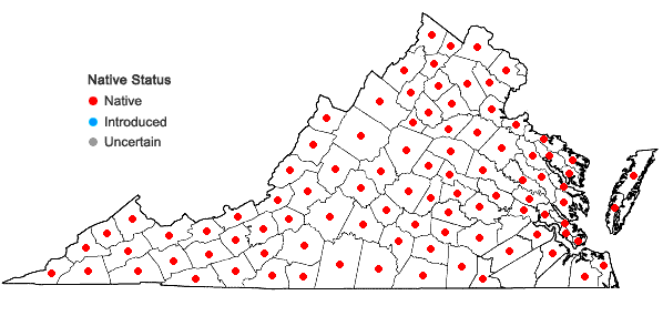 Locations ofGlyceria striata (Lam.) A.S. Hitchc. var. striata in Virginia