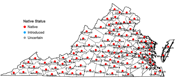 Locations ofGlyceria striata (Lam.) A.S. Hitchc. var. striata in Virginia