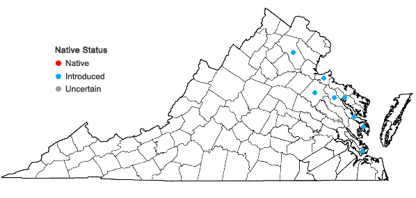 Locations ofGlycine max (L.) Merr. in Virginia