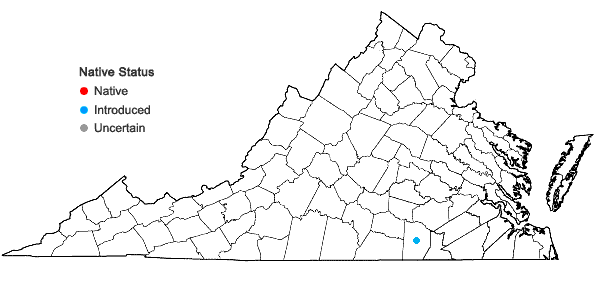 Locations ofGlycyrrhiza lepidota Pursh in Virginia