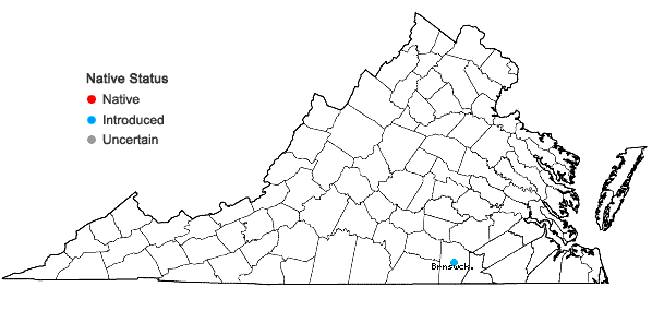 Locations ofGlycyrrhiza lepidota Pursh in Virginia