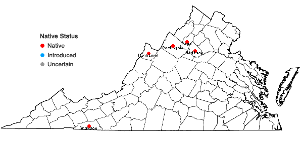 Locations ofGnaphalium uliginosum L. in Virginia