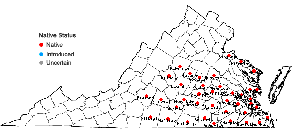 Locations ofGonolobus suberosus (L.) R. Br. var. suberosus in Virginia