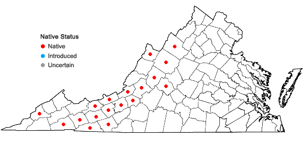 Locations ofGoodyera repens (L.) R.Br. in W. Aiton & W.T. Aiton in Virginia
