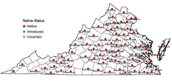 Locations ofGratiola neglecta Torr. in Virginia