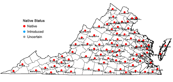 Locations ofGratiola neglecta Torr. in Virginia