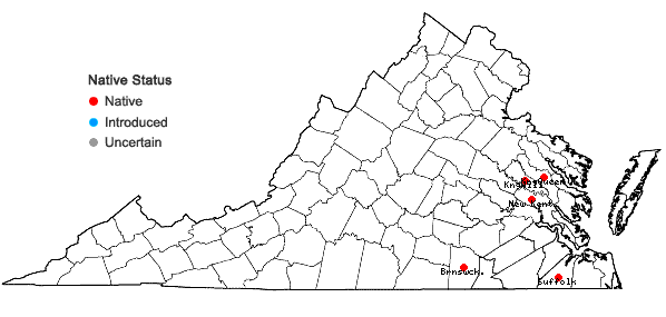 Locations ofGratiola virginiana L. var. aestuariorum Pennell in Virginia