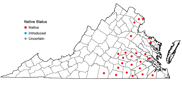 Locations ofGratiola viscidula Pennell in Virginia