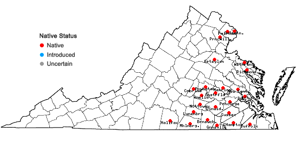 Locations ofGratiola viscidula Pennell in Virginia