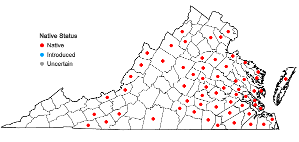 Locations ofGreeneochloa coarctata (Eaton) P.M. Peterson, Soreng, Romasch. & Barberá in Virginia