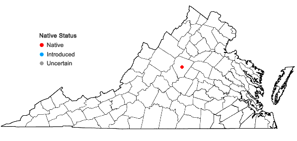 Locations ofGrimmia donniana Sm. in Virginia