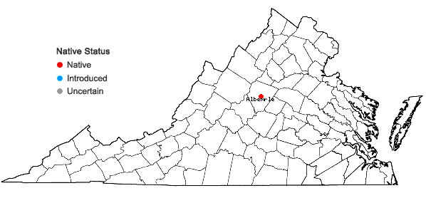 Locations ofGrimmia donniana Sm. in Virginia