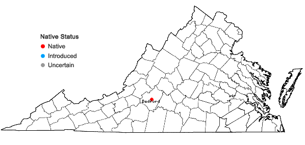 Locations ofGrimmia hartmanii Schimp. in Virginia