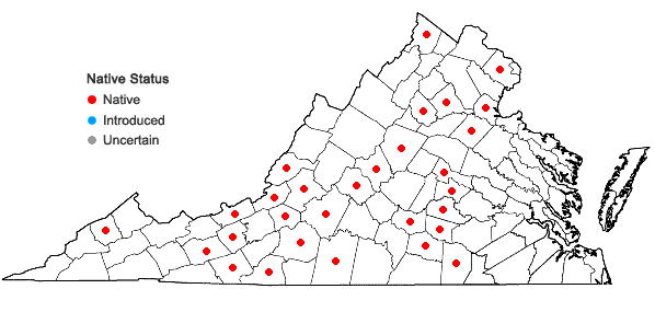 Locations ofGrimmia laevigata (Bridel) Bridel in Virginia