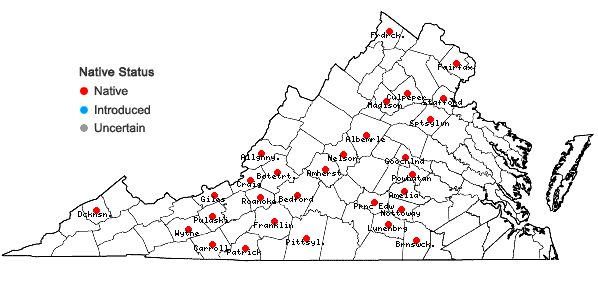 Locations ofGrimmia laevigata (Bridel) Bridel in Virginia