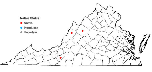 Locations ofGrimmia longirostris Hook. in Virginia