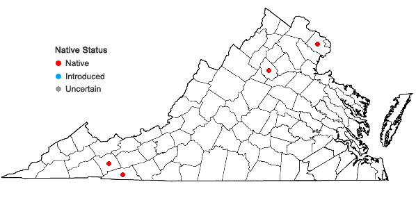 Locations ofGrimmia olneyi Sull. in Virginia