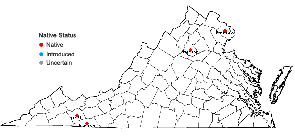 Locations ofGrimmia olneyi Sull. in Virginia