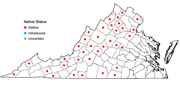 Locations ofGrimmia pilifera Palisot de Beauvois in Virginia