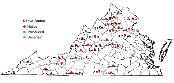 Locations ofGrimmia pilifera Palisot de Beauvois in Virginia
