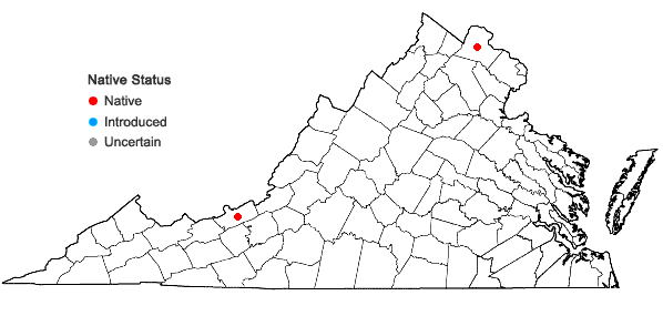 Locations ofGrimmia teretinervis Limpr. in Virginia