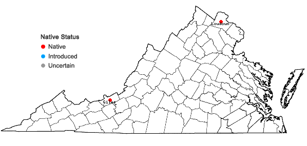 Locations ofGrimmia teretinervis Limpr. in Virginia