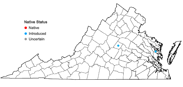 Locations ofGuizotia abyssinica (L. f.) Cass. in Virginia