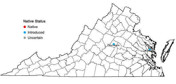Locations ofGuizotia abyssinica (L. f.) Cass. in Virginia
