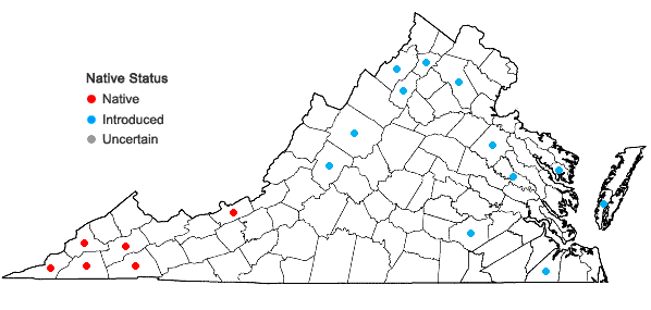 Locations ofGymnocladus dioica (L.) K. Koch in Virginia