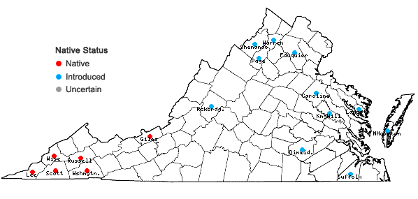 Locations ofGymnocladus dioica (L.) K. Koch in Virginia