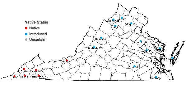 Locations ofGymnocladus dioica (L.) K. Koch in Virginia