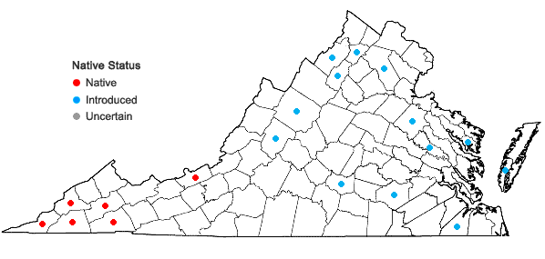 Locations ofGymnocladus dioicus (L.) K. Koch in Virginia