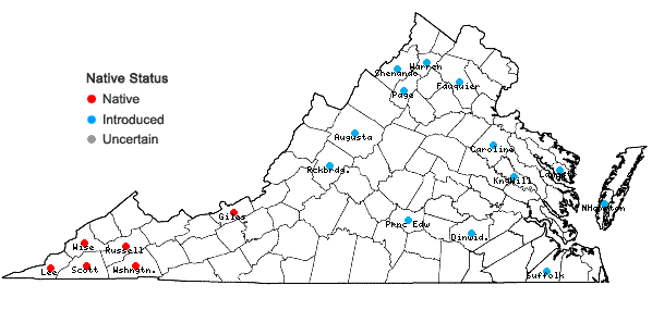 Locations ofGymnocladus dioicus (L.) K. Koch in Virginia
