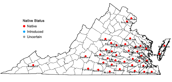 Locations ofGymnopogon ambiguus (Michx.) B.S.P. in Virginia