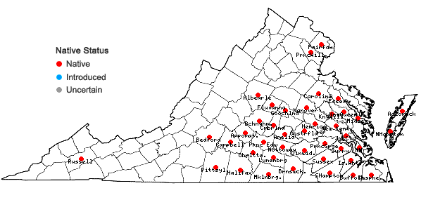 Locations ofGymnopogon ambiguus (Michx.) B.S.P. in Virginia