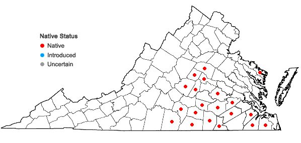 Locations ofGymnopogon brevifolius Trin. in Virginia