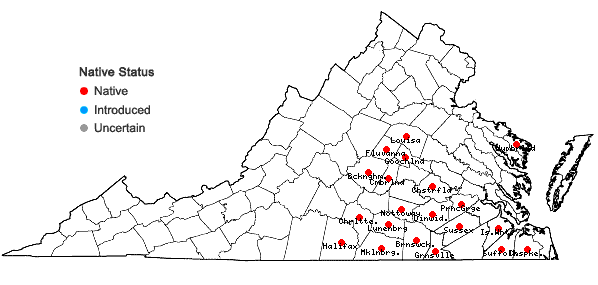 Locations ofGymnopogon brevifolius Trin. in Virginia