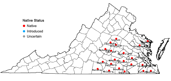 Locations ofGymnopogon brevifolius Trin. in Virginia