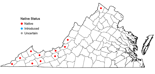 Locations ofGymnostomum aeruginosum J.E. Smith in Virginia