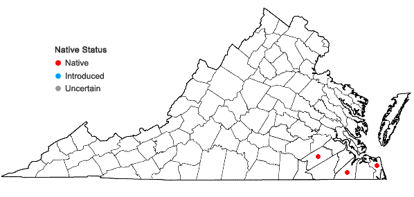 Locations ofHabenaria repens Nuttall in Virginia