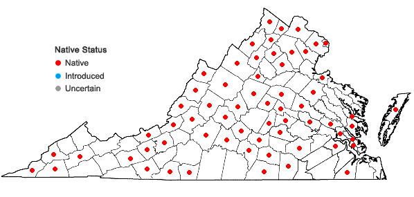 Locations ofHackelia virginiana (L.) I.M.Johnston in Virginia