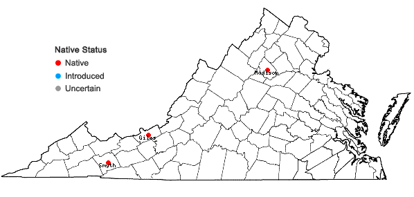 Locations ofHageniella micans (Mitt.) B. C. Tan & Y. Jia in Virginia