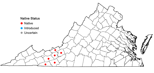 Locations ofHalesia tetraptera Ellis in Virginia