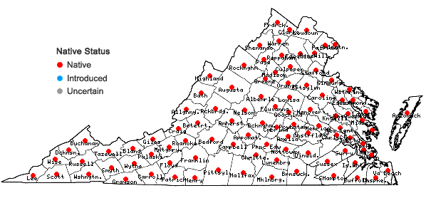 Locations ofHamamelis virginiana L. var. virginiana in Virginia