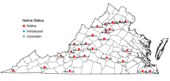 Locations ofHaplocladium virginianum (Brid.) Broth. in Virginia